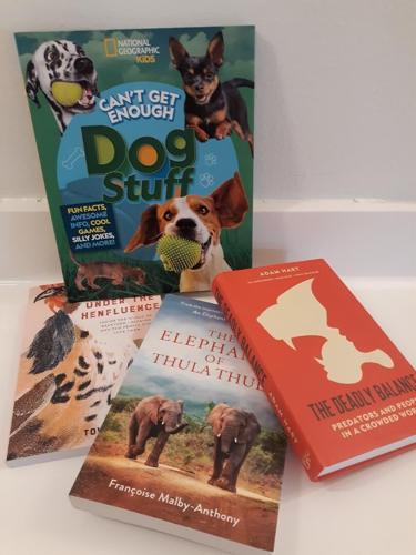 Can't Get Enough Dog Stuff [Book]