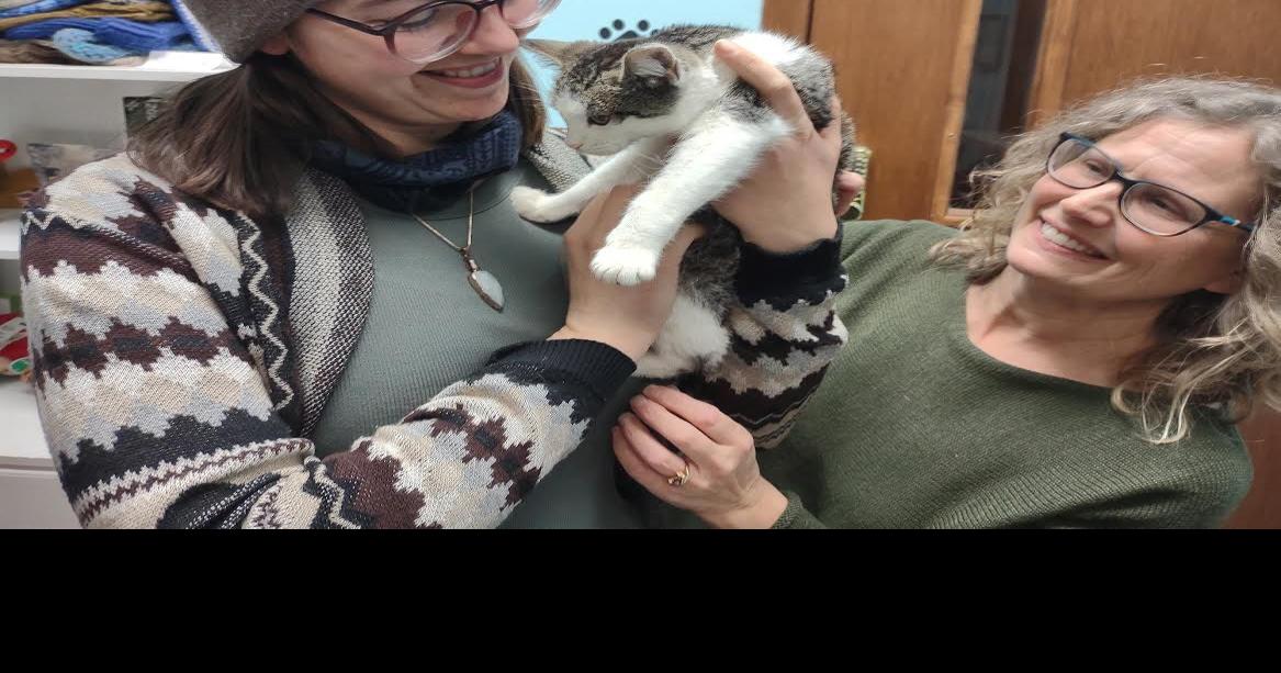 Christmas kitten rescued at Visitor Center; Snowflake saved from winter