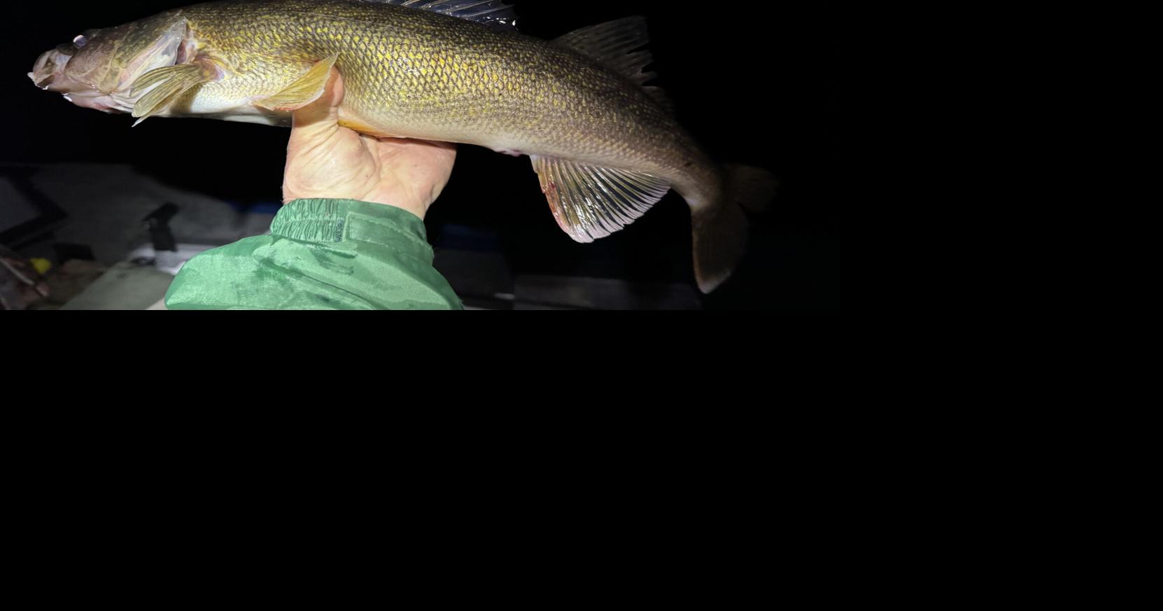 Night fishing | Outdoors | apg-wi.com