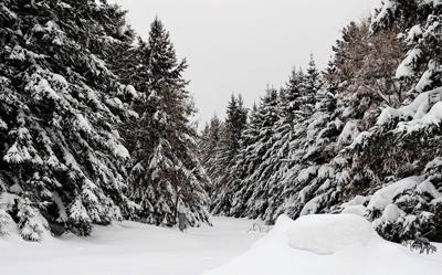 Snow