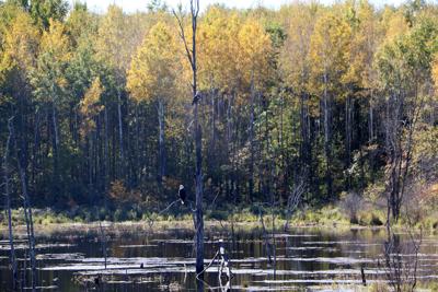 Wisconsin Outdoor Report Oct 7 Outdoors Apg Wi Com
