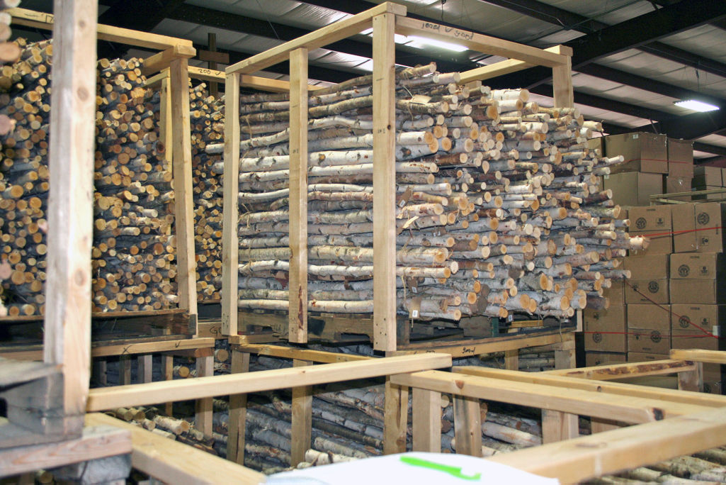 Winter Woods brings outdoors in with forest products Business apg