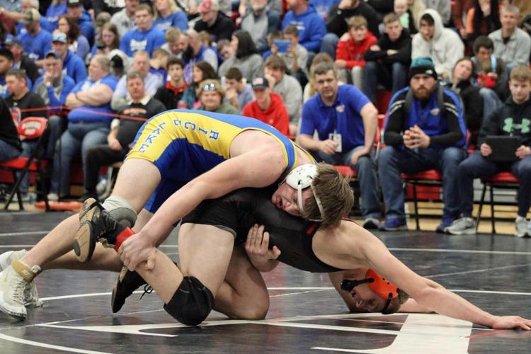 Prep wrestling: Rice Lake's Drost, Lammers have season end at ...
