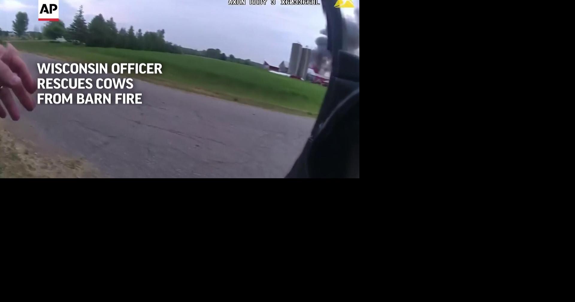 Wisconsin police officer races into burning barn and rescues cows ...