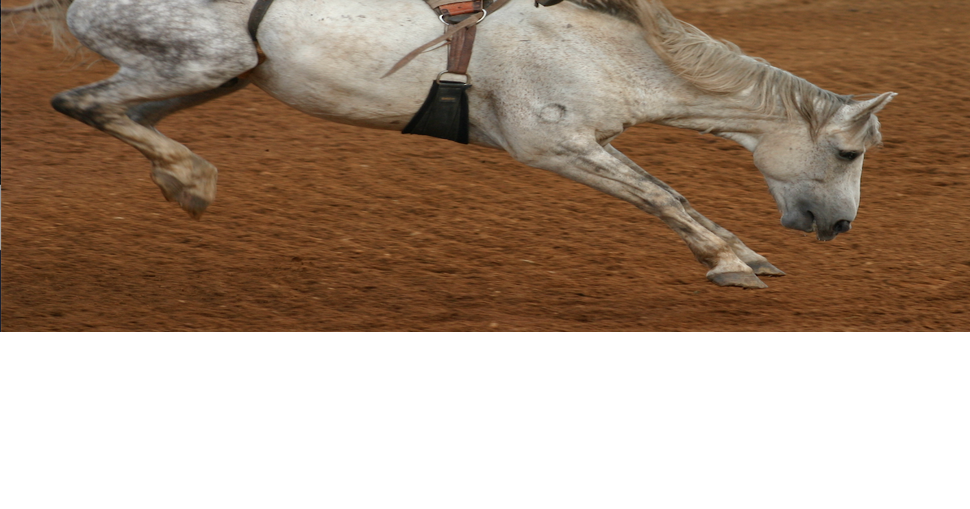 Excitement building for 69th Spooner Rodeo Sports
