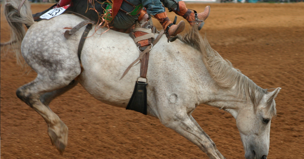 Excitement building for 69th Spooner Rodeo | Sports | apg-wi.com