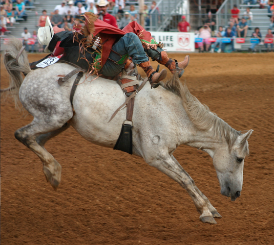 Excitement building for 69th Spooner Rodeo Communities And Youth