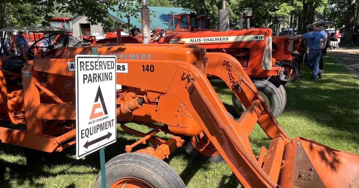 Abundance of orange at 56h annual Hungry Hollow show