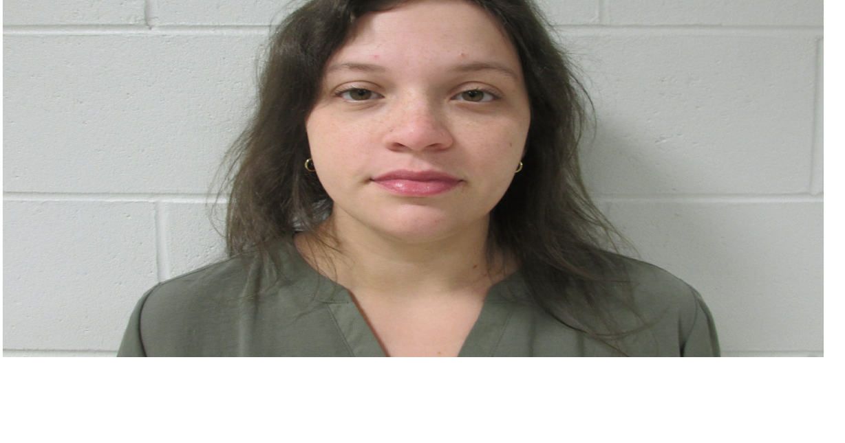 Amery woman gets jail time, community service for fatal Bayfield County