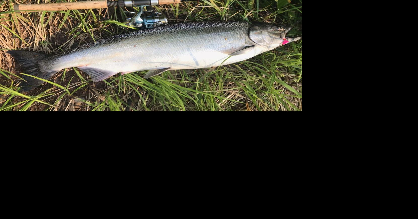 A tale of two fish | Regional | apg-wi.com