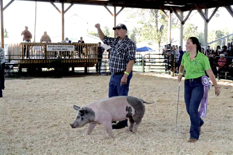Bayfield County Fair in pictures Subscriber