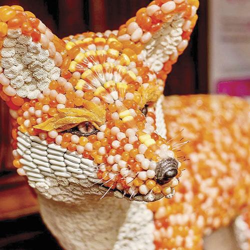 Sweet dream comes true for Candytopia creator | News ...