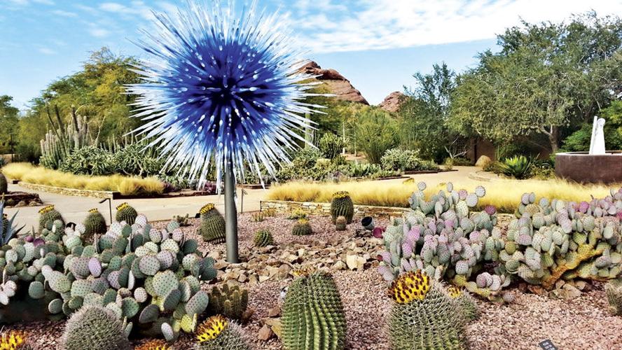 A shining beacon of conservation: The Desert Botanical Garden | News &  Stories | arcadianews.com