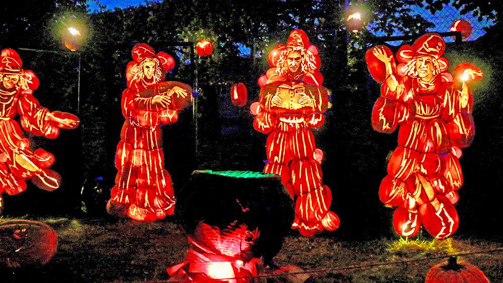 What's Happening, Arcadia? Briefs October 2024 News & Stories