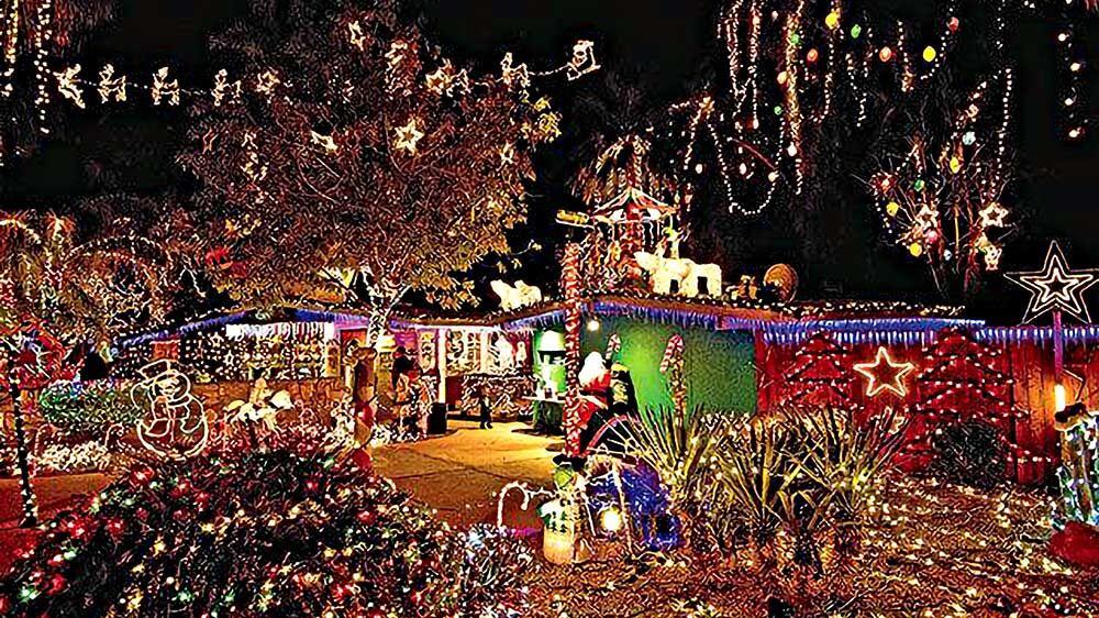 What’s Happening, Arcadia? December 2020 News & Stories