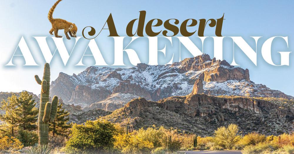 Arizona’s oldest botanical garden celebrates the season