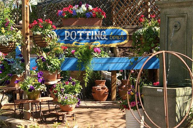 Gardening Tips News Stories Arcadianews
