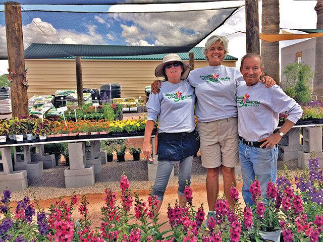 Arcadia Color Garden Nursery Combines The Old And New Arcadia Color Garden Nursery Combines The Old And New