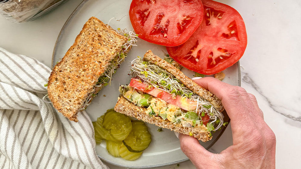 No tradesies happening with these lunch ideas | News &amp; Stories ...
