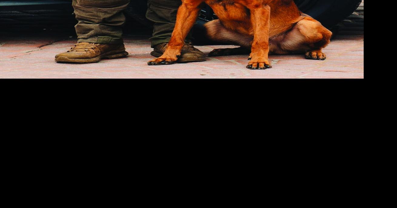 Remembering K-9s Lost: Memorial run honors dogs who died in the line of duty
