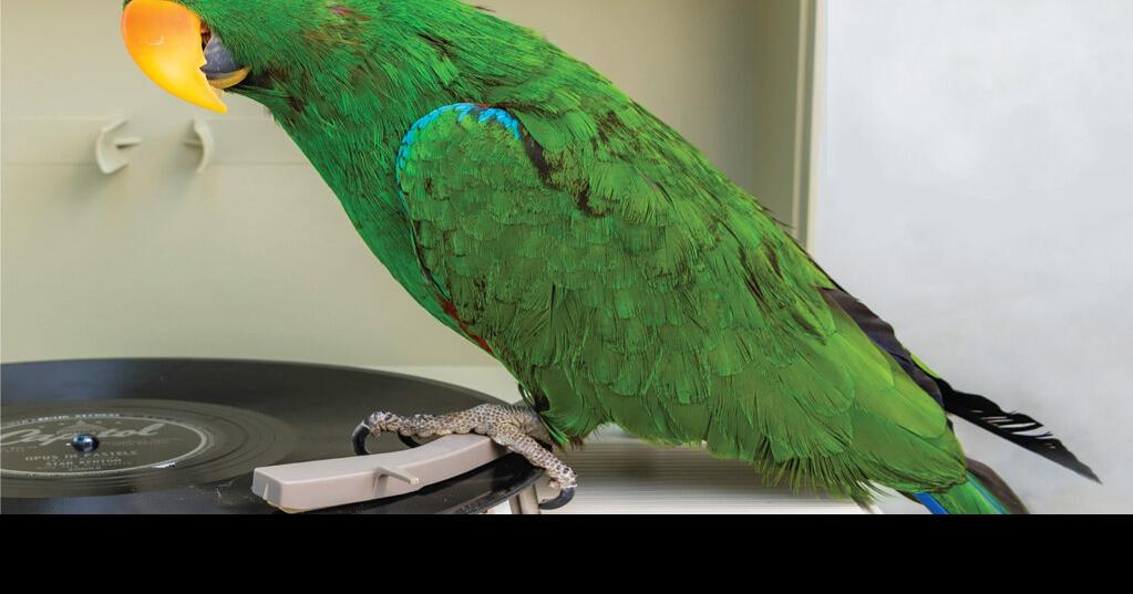 Best Of the Westside Shopping Bestofthewestside