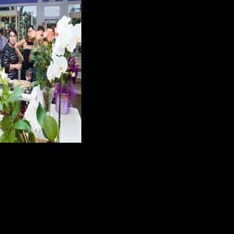 Biz Buzz: Nature in a Bottle | Biz-buzz | argonautnews.com