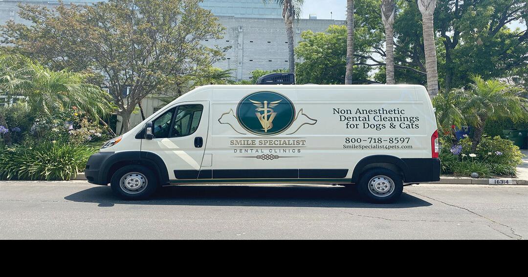 Giving Pets Something to Smile About | Health & Wellness