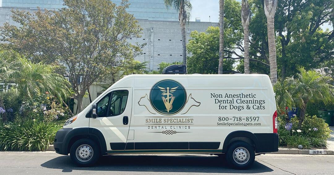 Giving Pets Something to Smile About | Health & Wellness Giving Pets Something to Smile About | Health & Wellness