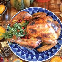 Thanksgiving vacation deals georgia Thanksgiving vacation deals georgia