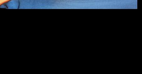 Robert 'Bob' E. Harper | Obituaries | argus-press.com - Vimarsana News