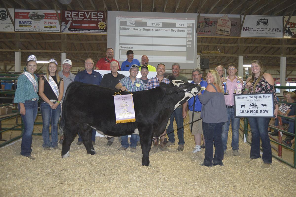 Reserve champion beef steer