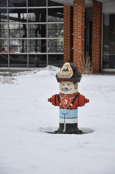 Owosso officials urge residents to keep snow clear from fire hydrants