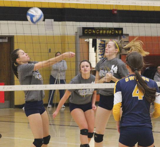 VOLLEYBALL Corunna sweeps Marauders, Trojans Corunna