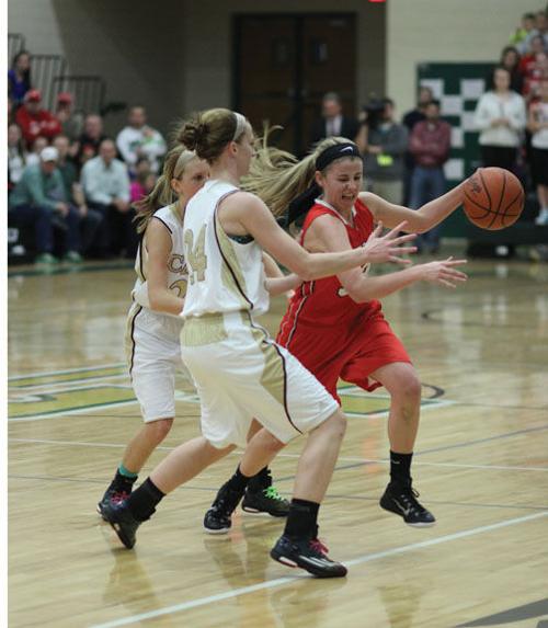 Lindsey Smith Laingsburg Argus Press Com