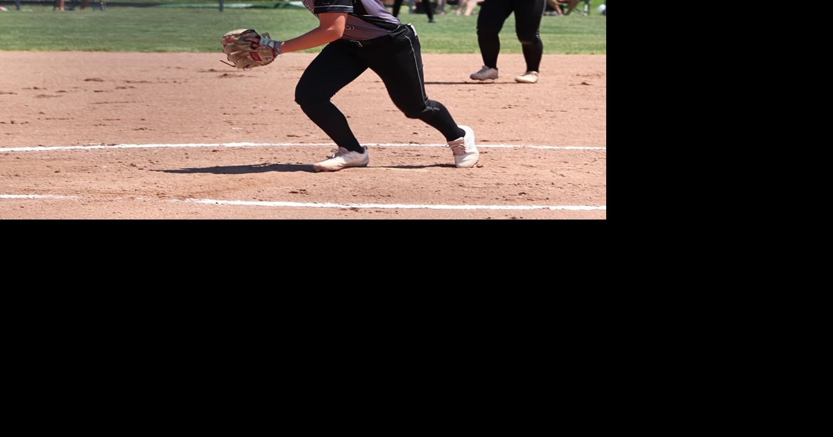 All-stater who led Hornets to state semis is Argus-Press Softball Player of the Year