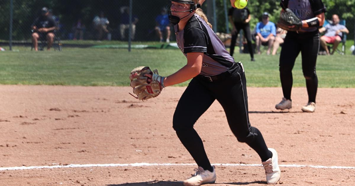 All-stater who led Hornets to state semis is Argus-Press Softball Player of the Year