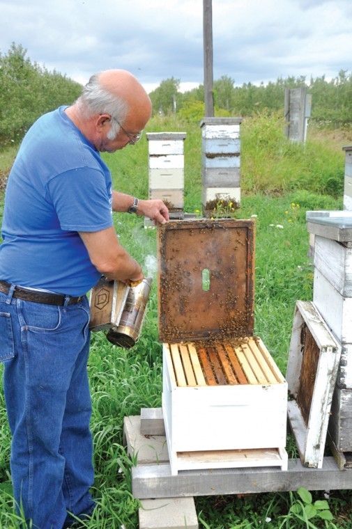 Drought could have devastating affect on honey bees | Local News