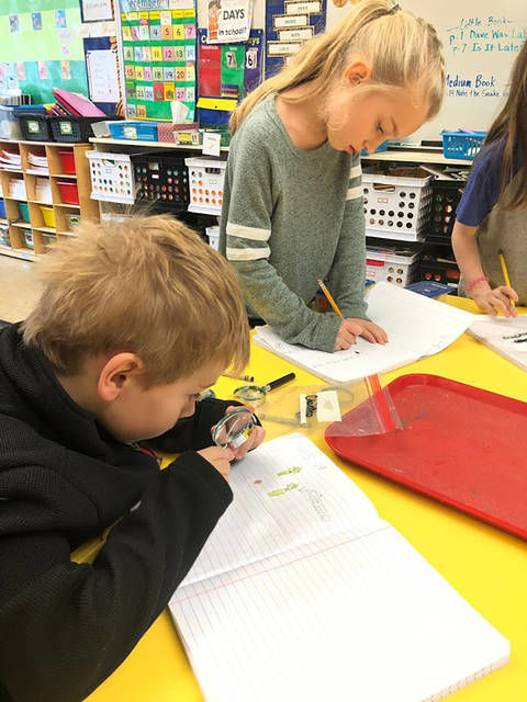 BUDDING SCIENTISTS