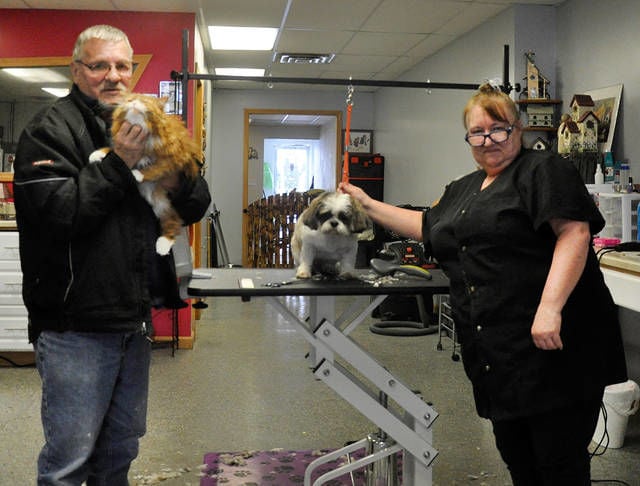 readbeast - beastiality stories