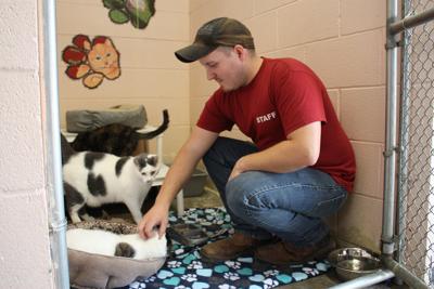 Ready To Adopt Owosso Argus Press Com
