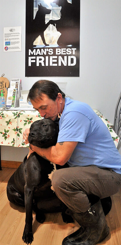 Local celebrity dog needs surgery - Vimarsana News