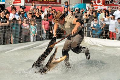 Alligator wranglers bring show to Shiawassee County Fair | Top Local News |  