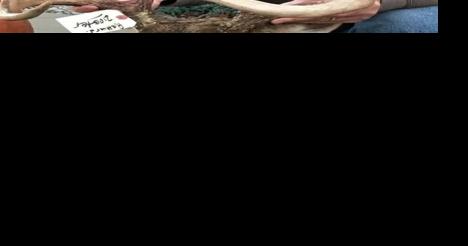 Richard Roy Ziegler - Vimarsana News