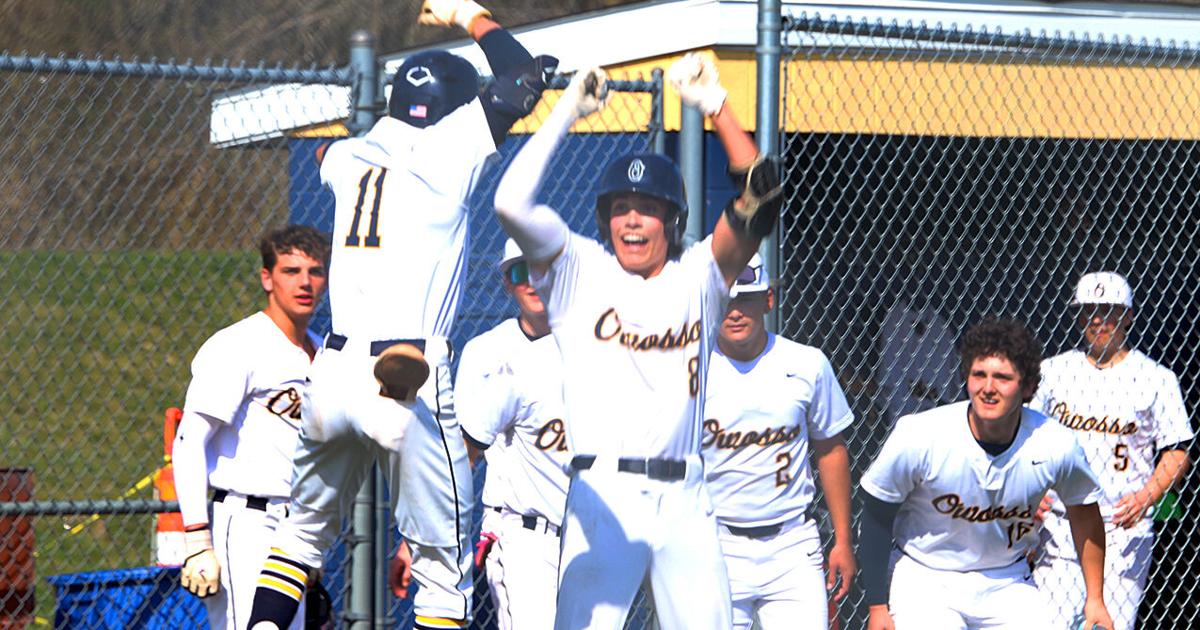 Argus-Press baseball district preview: Owosso to rely on newfound pitching depth in postseason