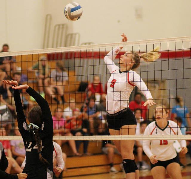 VOLLEYBALL Laingsburg downs Dansville in three sets Local Sports