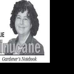 There’s still time to shop for those who enjoy gardening