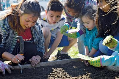 Sowing The Seeds Local News Stories Argusobserver Com