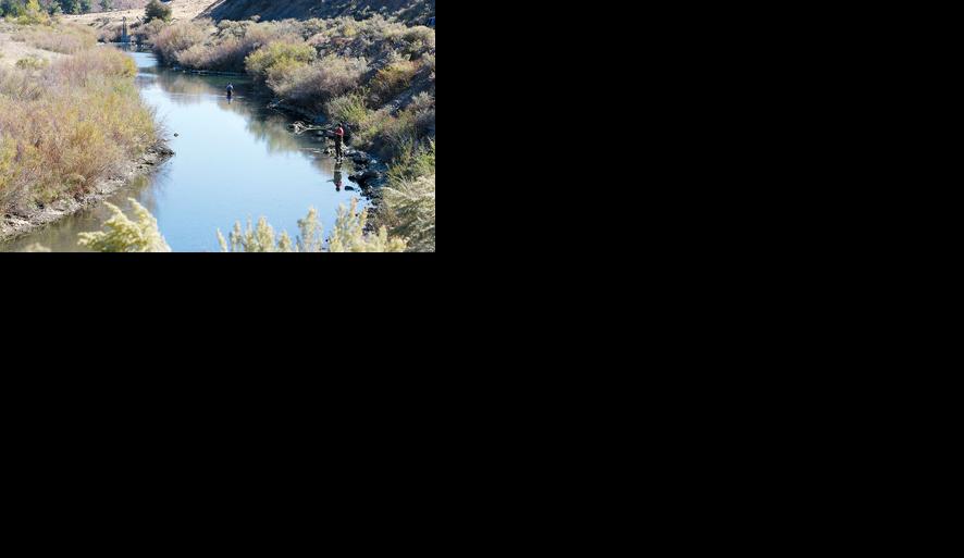 Don T Live Here Don T Hunt Or Fish Odfw S New Order Goes Into Effect Tonight Complimentary Argusobserver Com