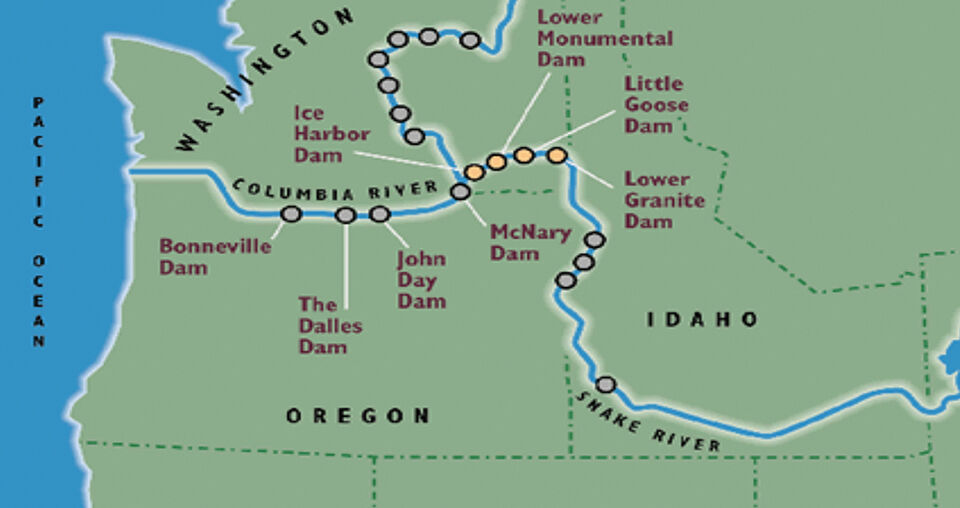Snake River Dams Map Northwest Groups: Pieces In Place To Address Salmon Decline | News |  Argusobserver.com