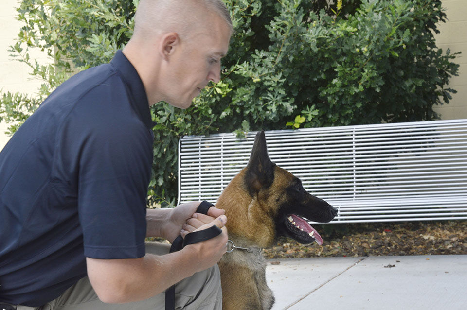 how do police train drug dogs